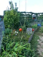 CIMG1203.webp