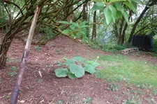 DSC07307.webp