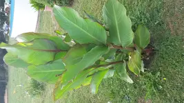 20150716_172514.webp