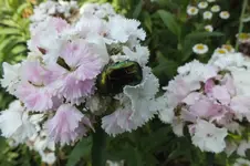 DSCF2142.webp
