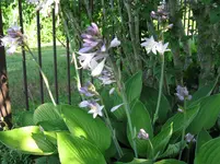 IMG_4338.webp