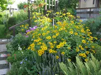 IMG_4345.webp
