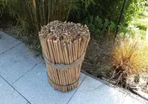 DSCF2277 (2).webp
