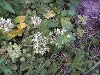 BILD4325.webp