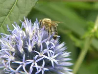 DSCN9580.webp