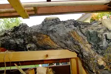 DSCF3098.webp
