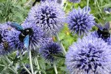 DSCF3089.webp