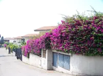100_6319.webp