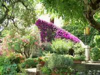 100_6332.webp