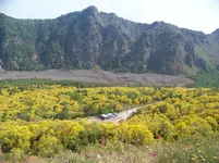 100_6478.webp