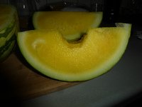 P1470670.webp