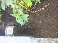IMG-20150722-WA0000.webp