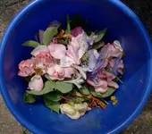 blue (58).webp
