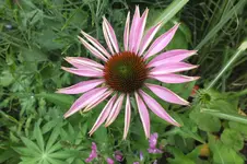 DSCF2318.webp