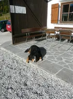 P1020389.webp
