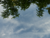 P1390340.webp