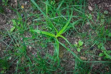 20150723-Sandstrasse-1DS37006.webp