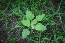 20150723-Sandstrasse-1DS37002.webp