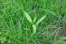 20150723-Sandstrasse-1DS37001.webp