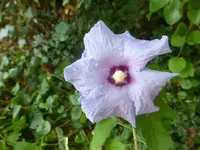 P1470651.webp