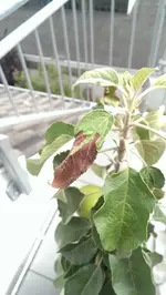 IMAG0484.jpg