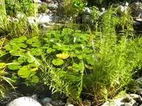 DSCN9585.webp
