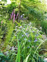 DSCN9605.webp