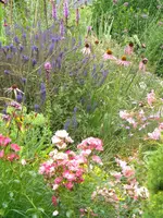 DSCN9510.webp