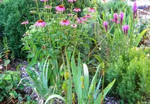 DSCN9610.webp