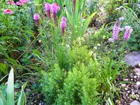 DSCN9611.webp