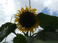 20150723_160325.webp