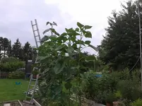20150723_160447.webp