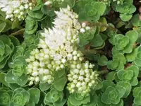 Bilda011.webp