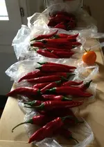 Paprika.webp