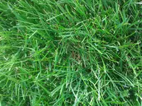20150723_164456.webp