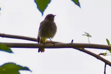 DSC_6077.webp