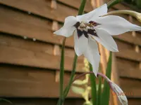 P7230823.webp