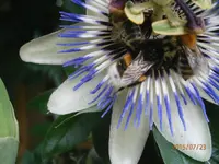 P7230824.webp