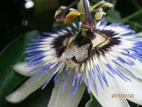 P7230825.webp