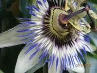 P7230827.webp