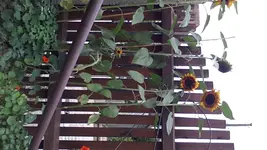 20150723_102341.webp