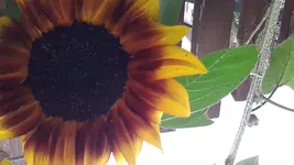 20150723_102407.webp