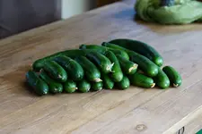Vespergurken.webp