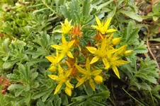 DSCF2181.webp