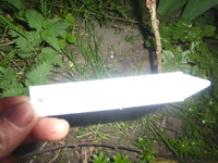 P1340903.webp