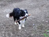 Copy of IMG_0925v.webp