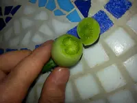 20150724_084143.webp