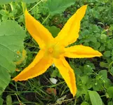 DSCF2316 (3).webp