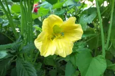 DSCF2244.webp