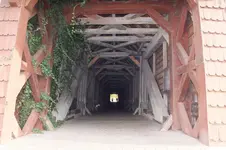 DSCF8507.webp